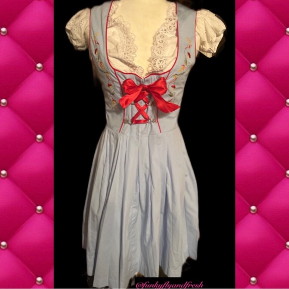StockerPoint Dresses & Skirts - Stockerpoint vintage Dirndl size 38 baby blue red piping embroidered flowers.